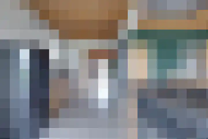 De Trije Roeden 6 Boelenslaan thumbnail 22