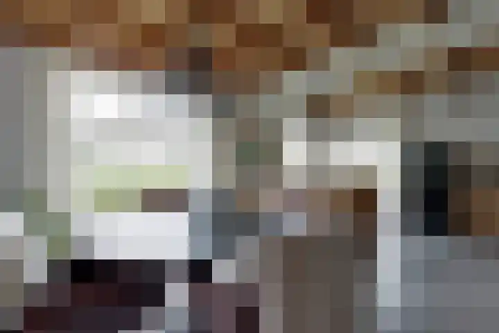 De Trije Roeden 6 Boelenslaan thumbnail 25