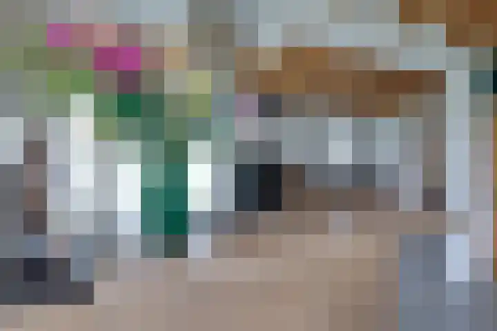 De Trije Roeden 6 Boelenslaan thumbnail 28