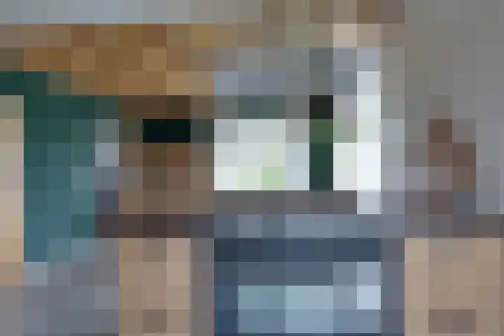 De Trije Roeden 6 Boelenslaan thumbnail 29