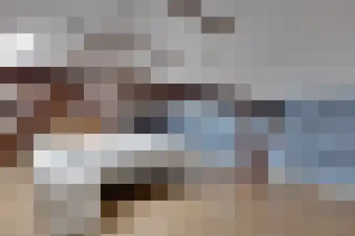 De Trije Roeden 6 Boelenslaan thumbnail 33