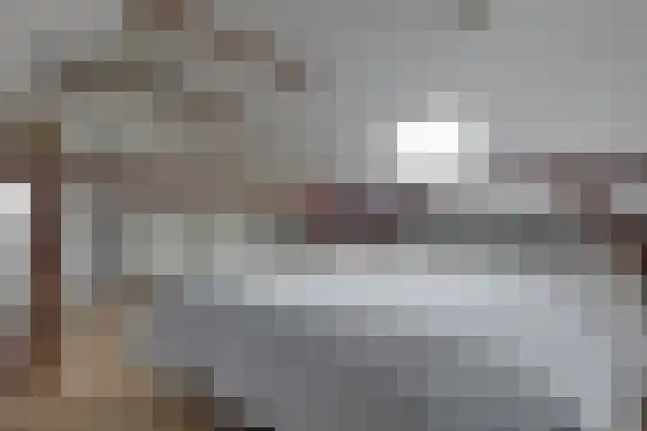 De Trije Roeden 6 Boelenslaan thumbnail 34