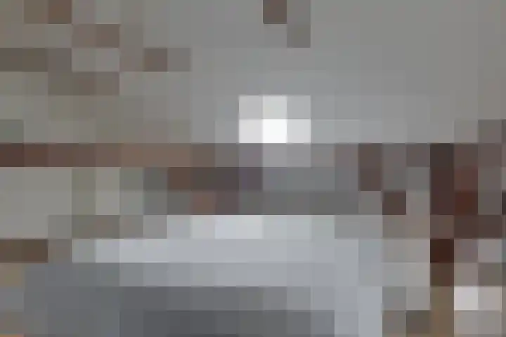 De Trije Roeden 6 Boelenslaan thumbnail 35