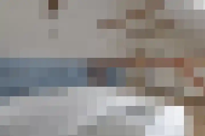 De Trije Roeden 6 Boelenslaan thumbnail 37