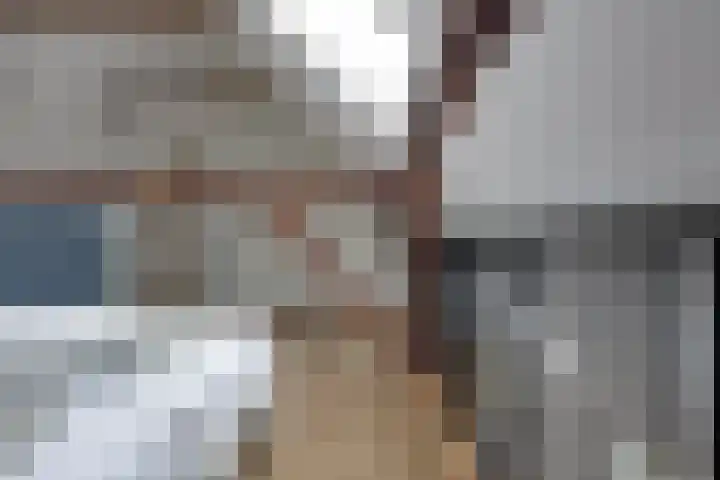De Trije Roeden 6 Boelenslaan thumbnail 38