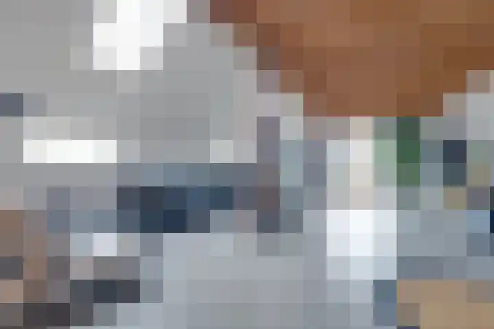 De Trije Roeden 6 Boelenslaan thumbnail 4