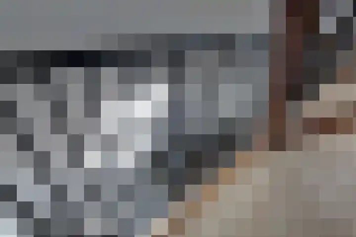 De Trije Roeden 6 Boelenslaan thumbnail 40