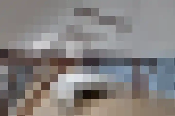 De Trije Roeden 6 Boelenslaan thumbnail 41