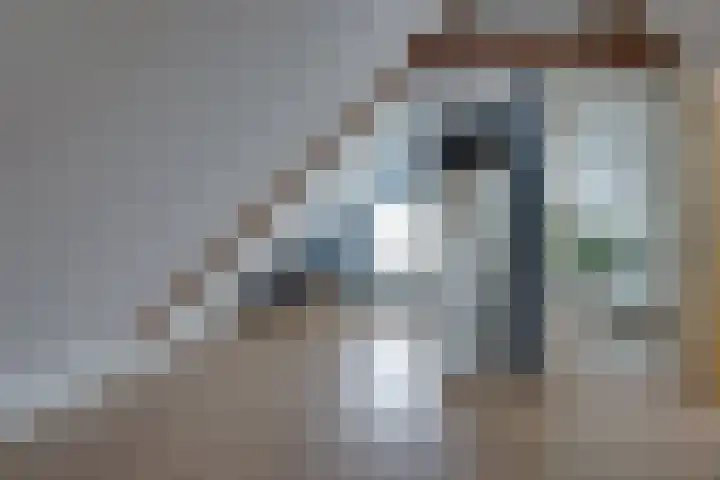 De Trije Roeden 6 Boelenslaan thumbnail 42