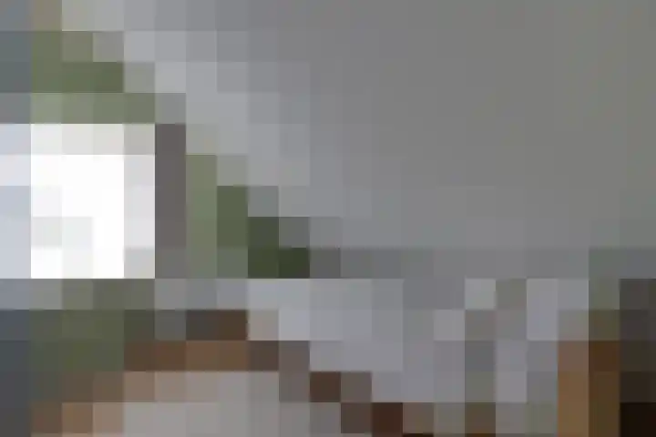 De Trije Roeden 6 Boelenslaan thumbnail 43