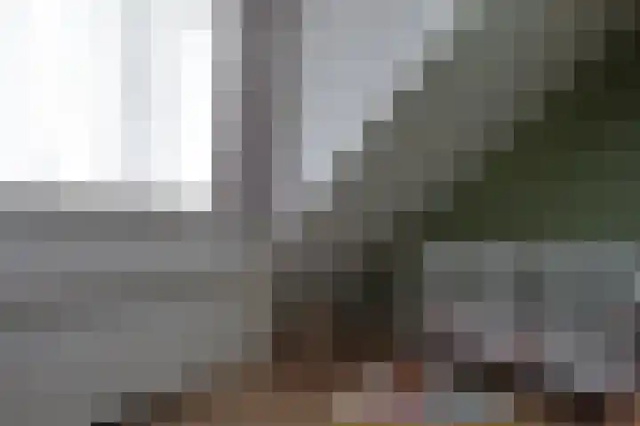 De Trije Roeden 6 Boelenslaan thumbnail 44