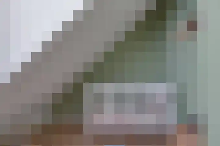 De Trije Roeden 6 Boelenslaan thumbnail 45