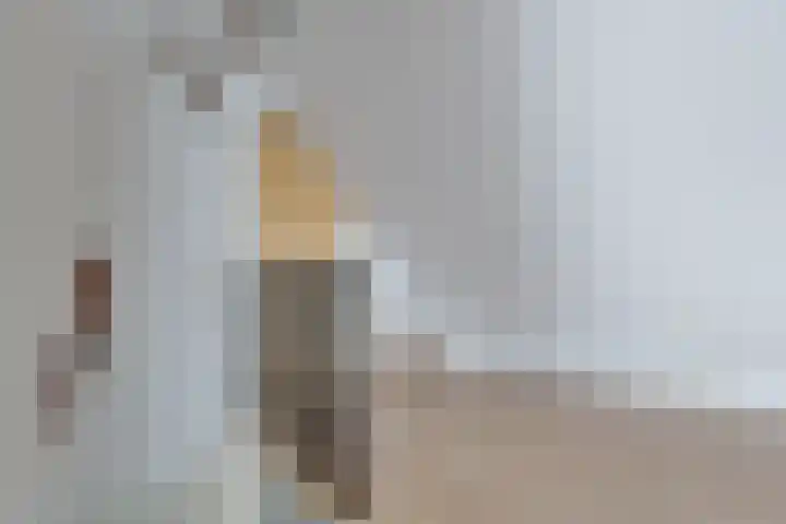 De Trije Roeden 6 Boelenslaan thumbnail 47