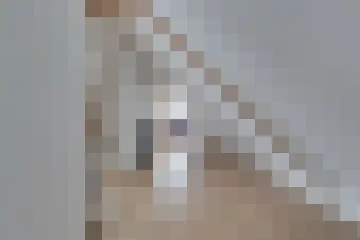 De Trije Roeden 6 Boelenslaan thumbnail 48
