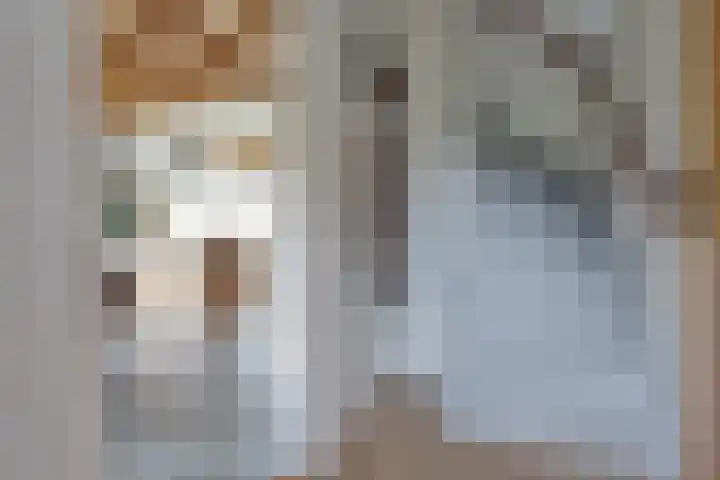 De Trije Roeden 6 Boelenslaan thumbnail 49