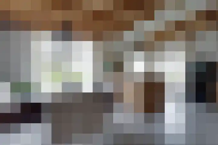 De Trije Roeden 6 Boelenslaan thumbnail 50