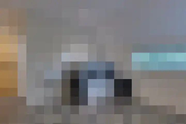 De Trije Roeden 6 Boelenslaan thumbnail 51