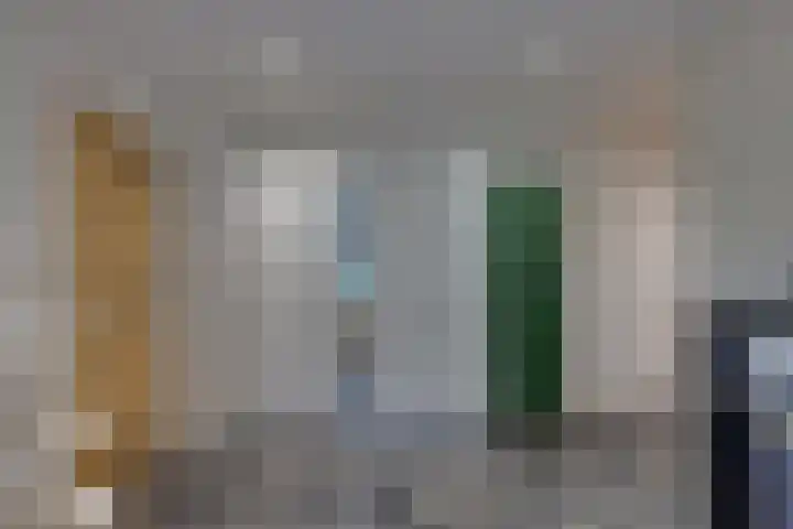 De Trije Roeden 6 Boelenslaan thumbnail 52