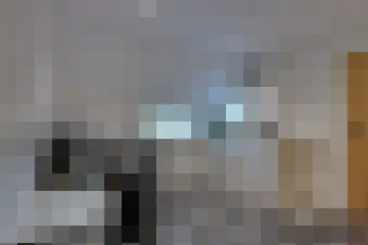De Trije Roeden 6 Boelenslaan thumbnail 53