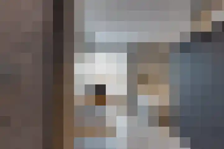 De Trije Roeden 6 Boelenslaan thumbnail 54