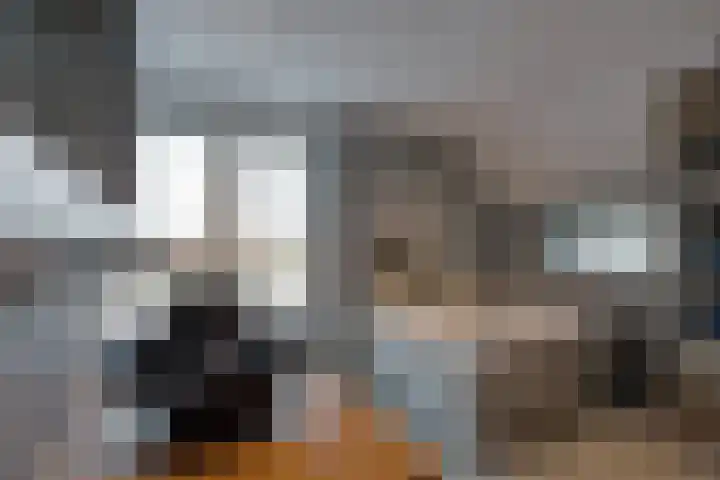 De Trije Roeden 6 Boelenslaan thumbnail 55