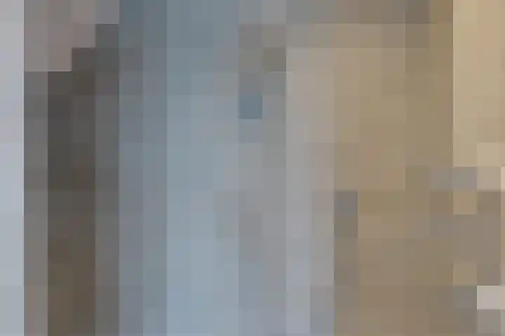 De Trije Roeden 6 Boelenslaan thumbnail 57