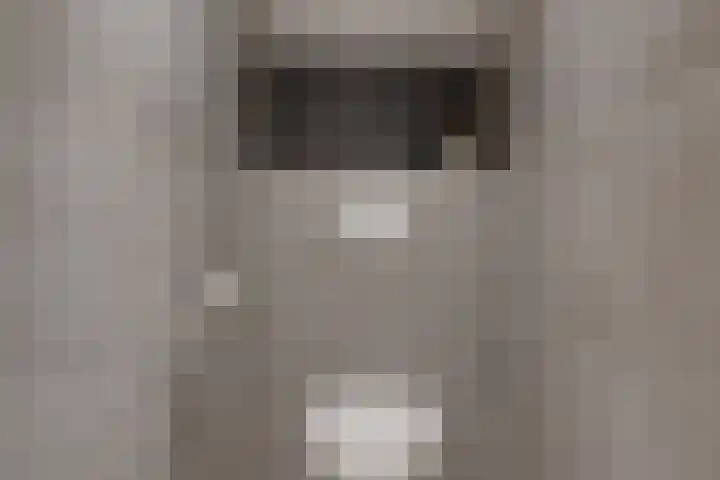 De Trije Roeden 6 Boelenslaan thumbnail 58