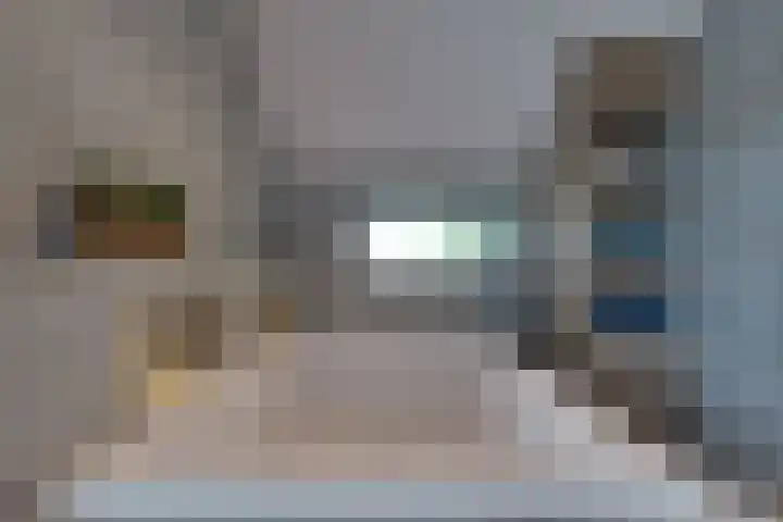 De Trije Roeden 6 Boelenslaan thumbnail 59