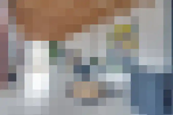 De Trije Roeden 6 Boelenslaan thumbnail 6