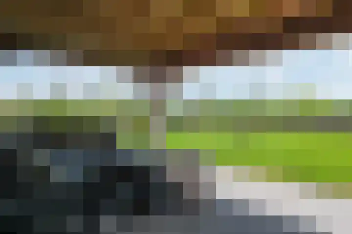 De Trije Roeden 6 Boelenslaan thumbnail 60