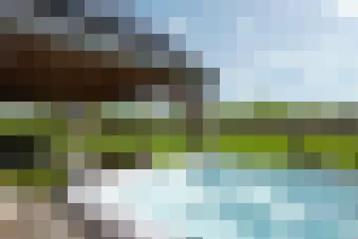 De Trije Roeden 6 Boelenslaan thumbnail 61