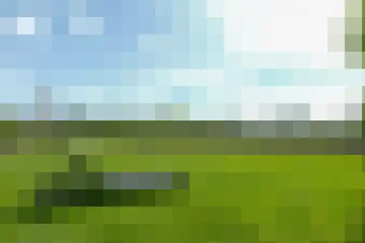 De Trije Roeden 6 Boelenslaan thumbnail 63