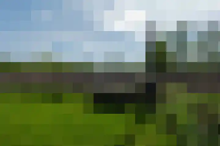 De Trije Roeden 6 Boelenslaan thumbnail 64