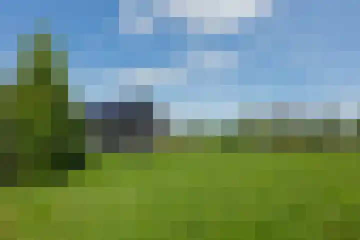 De Trije Roeden 6 Boelenslaan thumbnail 65