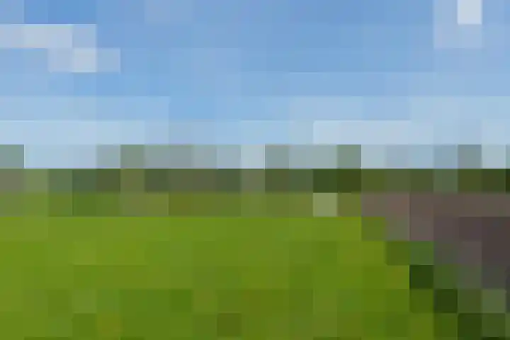 De Trije Roeden 6 Boelenslaan thumbnail 66