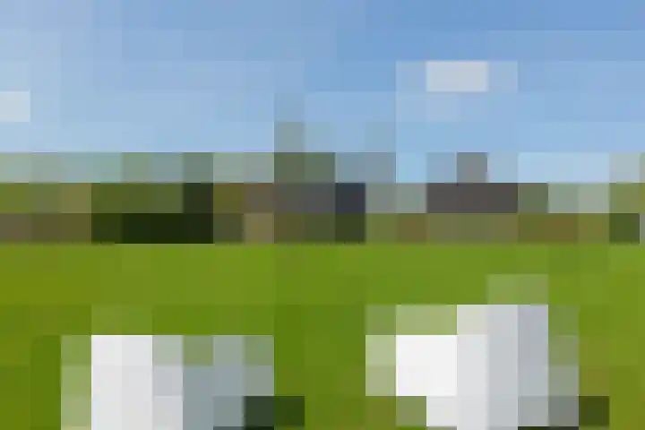 De Trije Roeden 6 Boelenslaan thumbnail 67