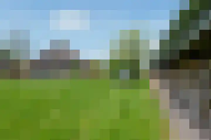 De Trije Roeden 6 Boelenslaan thumbnail 68