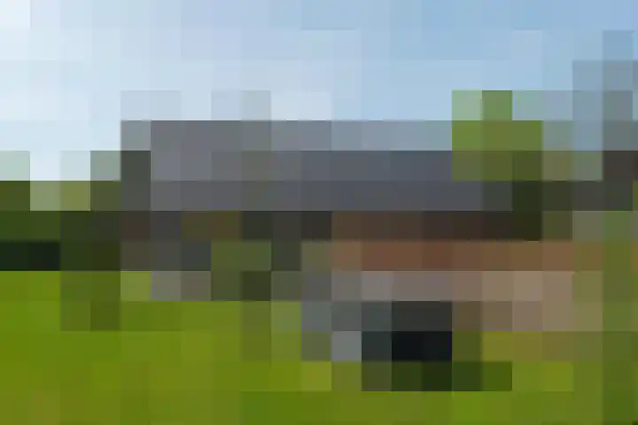 De Trije Roeden 6 Boelenslaan thumbnail 69