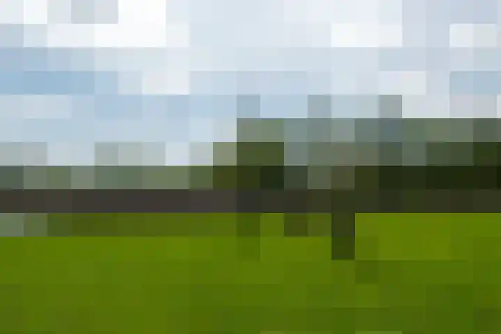 De Trije Roeden 6 Boelenslaan thumbnail 70