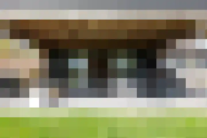 De Trije Roeden 6 Boelenslaan thumbnail 72