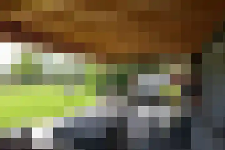 De Trije Roeden 6 Boelenslaan thumbnail 73