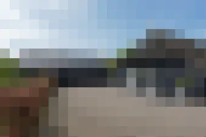 De Trije Roeden 6 Boelenslaan thumbnail 74