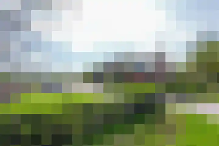 De Trije Roeden 6 Boelenslaan thumbnail 77
