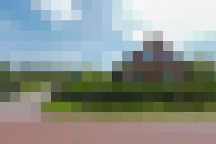 De Trije Roeden 6 Boelenslaan thumbnail 79