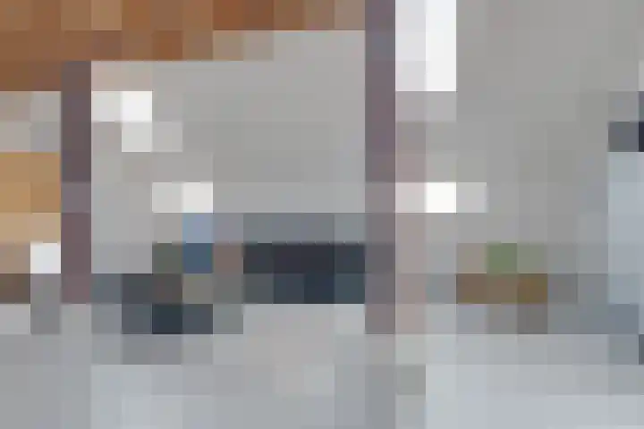 De Trije Roeden 6 Boelenslaan thumbnail 8