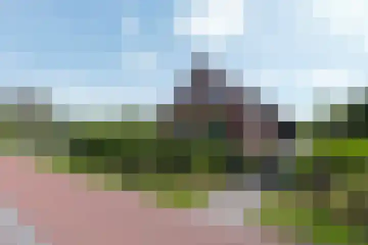De Trije Roeden 6 Boelenslaan thumbnail 80