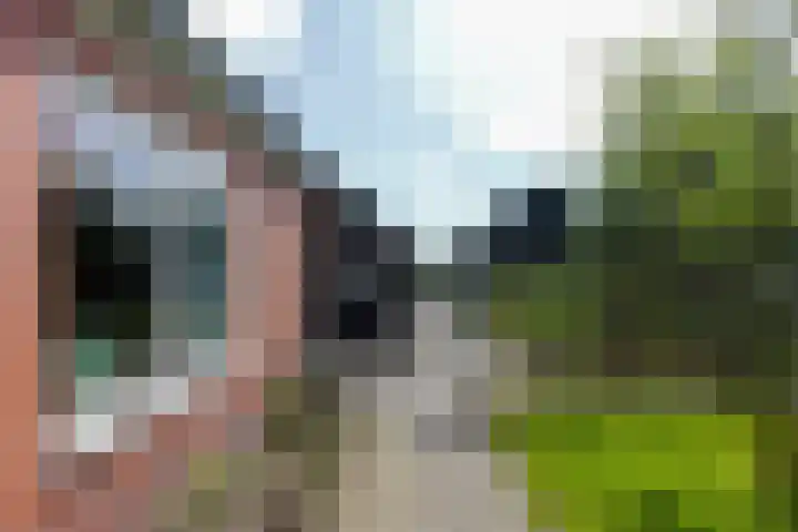 De Trije Roeden 6 Boelenslaan thumbnail 81