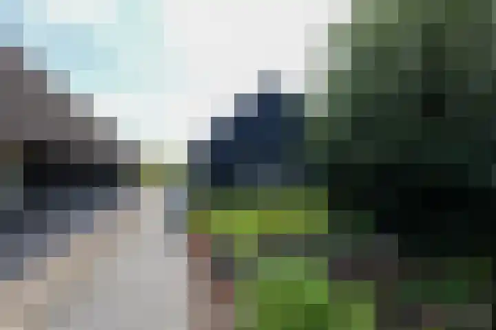 De Trije Roeden 6 Boelenslaan thumbnail 82