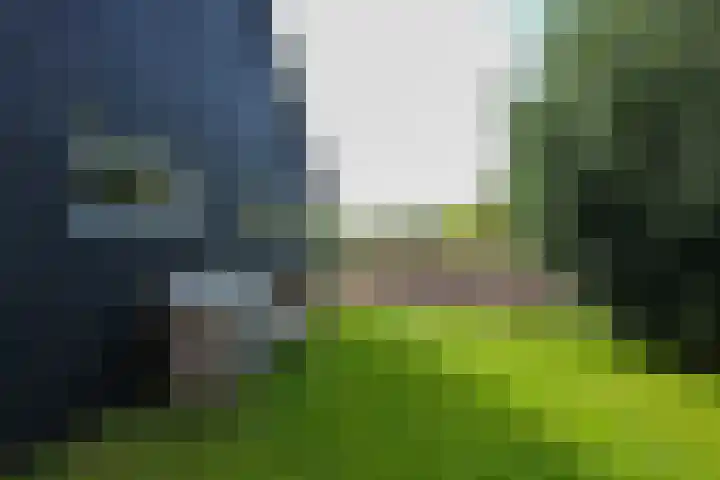 De Trije Roeden 6 Boelenslaan thumbnail 83