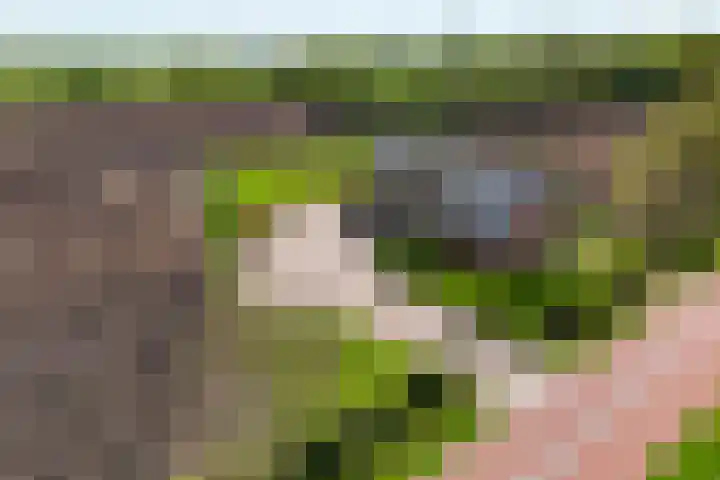 De Trije Roeden 6 Boelenslaan thumbnail 88